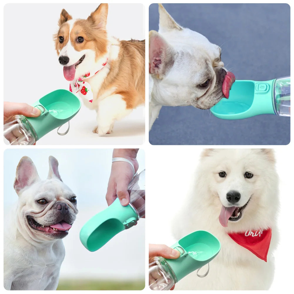 🐶 Botella de Agua Portátil para Perros 300 ml, 350 ml y 550 ml | Bebedero Antiderrame para Paseos y Viajes