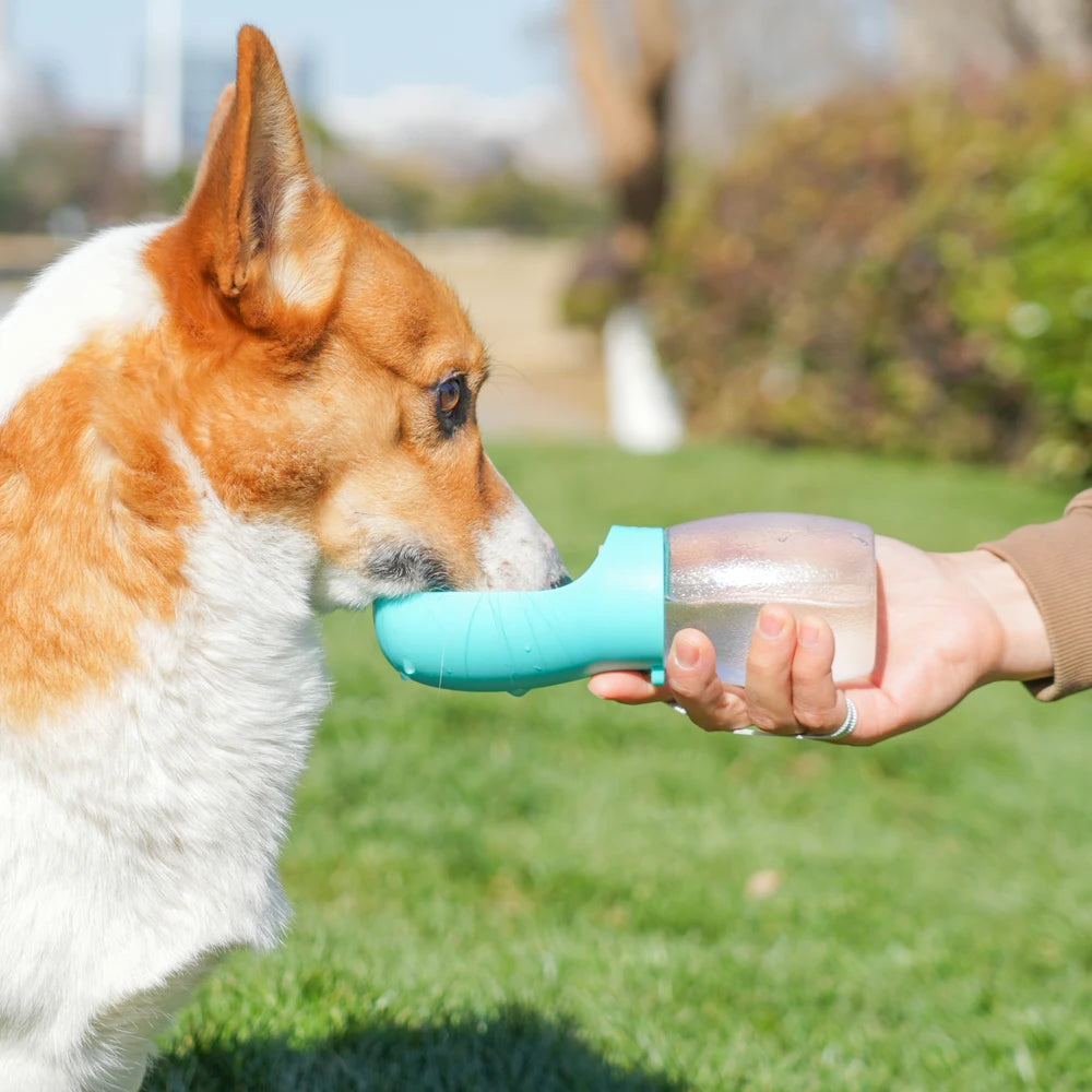 PetFlow™ | Botella Bebedero Portátil Antiderrame para Perros y Gatos – 300 ml