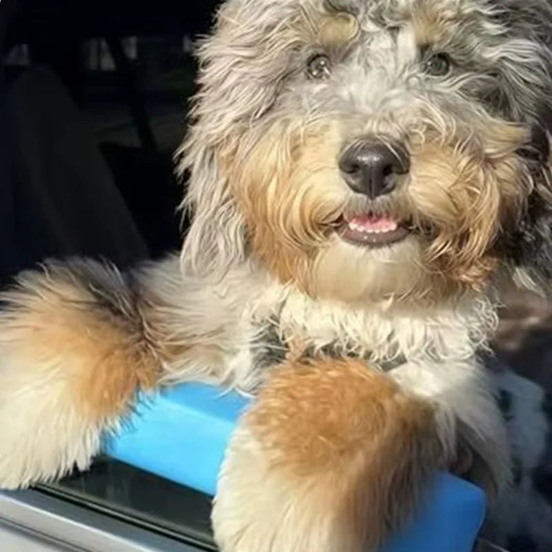 Ventana Feliz — Reposacabezas para Perros en Auto