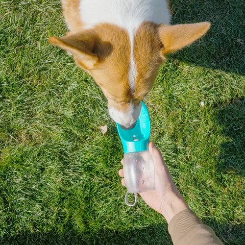 PetFlow™ | Botella Bebedero Portátil Antiderrame para Perros y Gatos – 300 ml